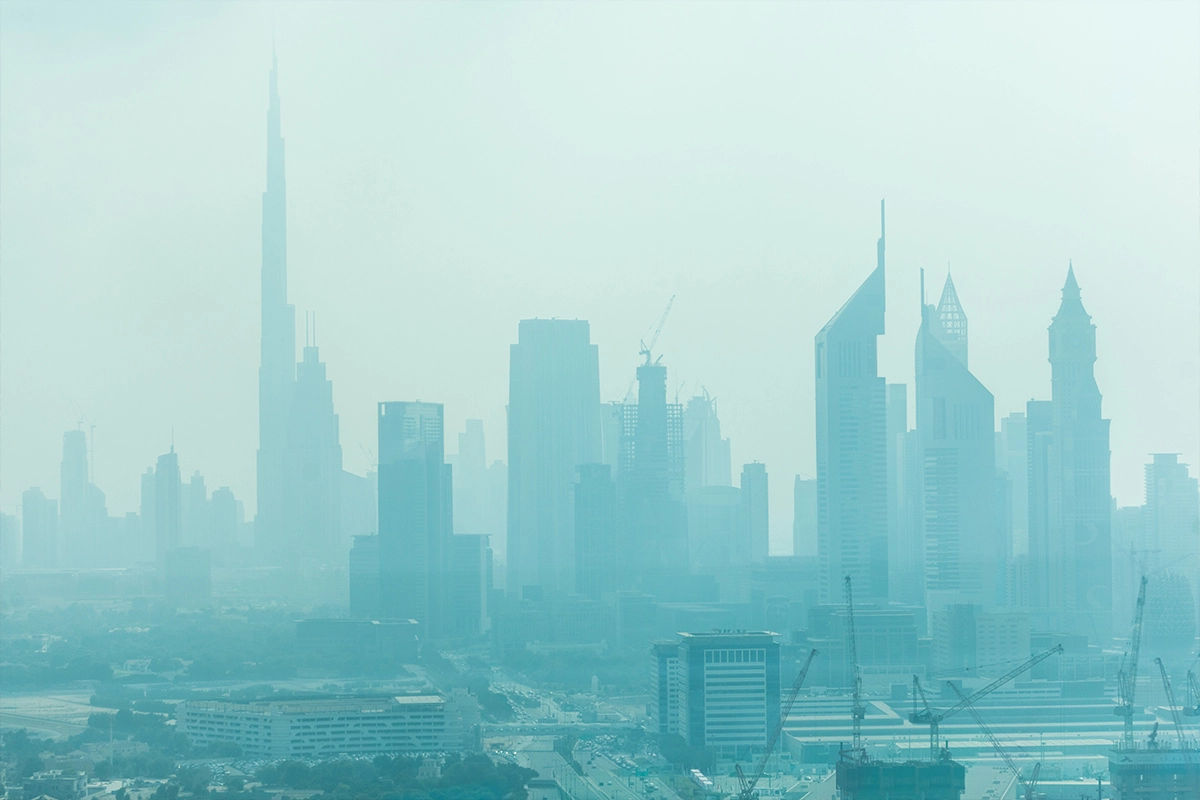 Free zone professional trade license incorporation for 100 percent foreign ownership in UAE