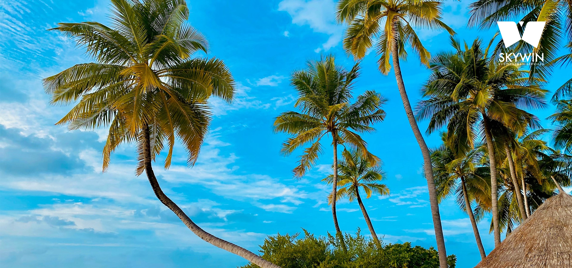 Holiday packages in the UAE by Skywin Business